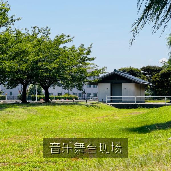 音乐舞台现场