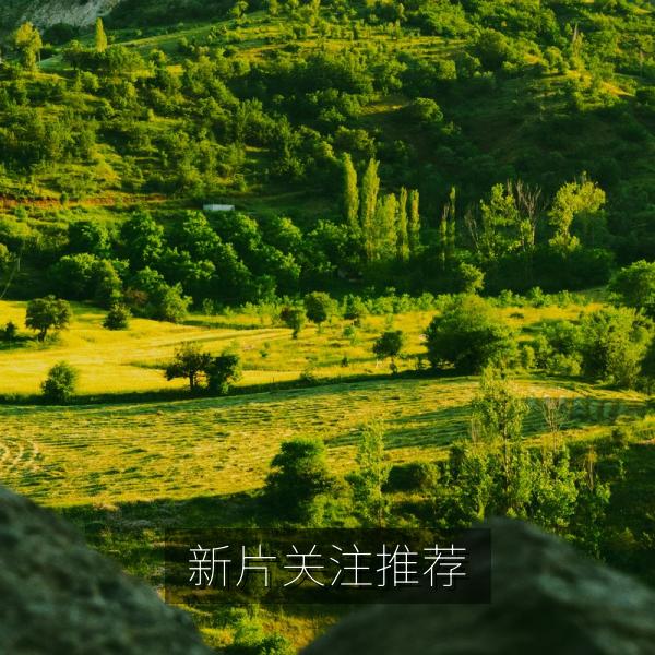新片关注推荐
